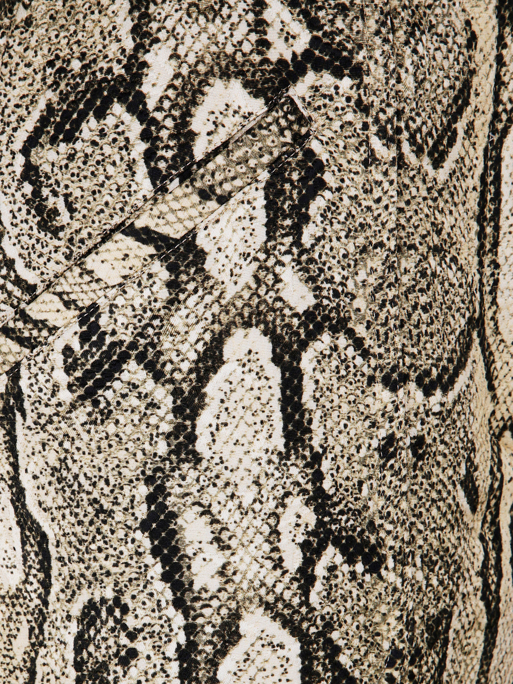 Dries Van Noten Women Cheraz Midi Skirt