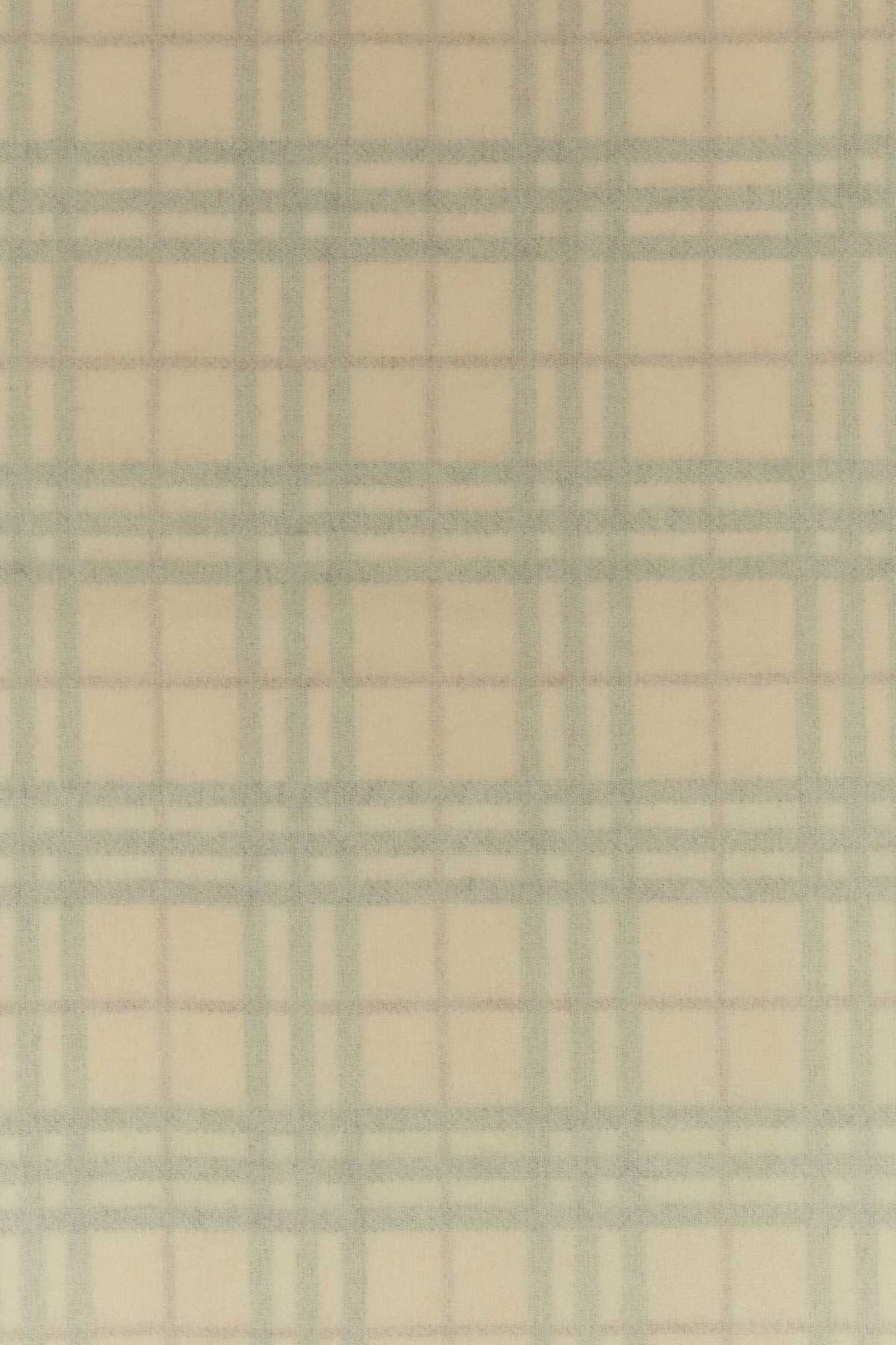 Burberry Men Embroidered Cashmere Scarf