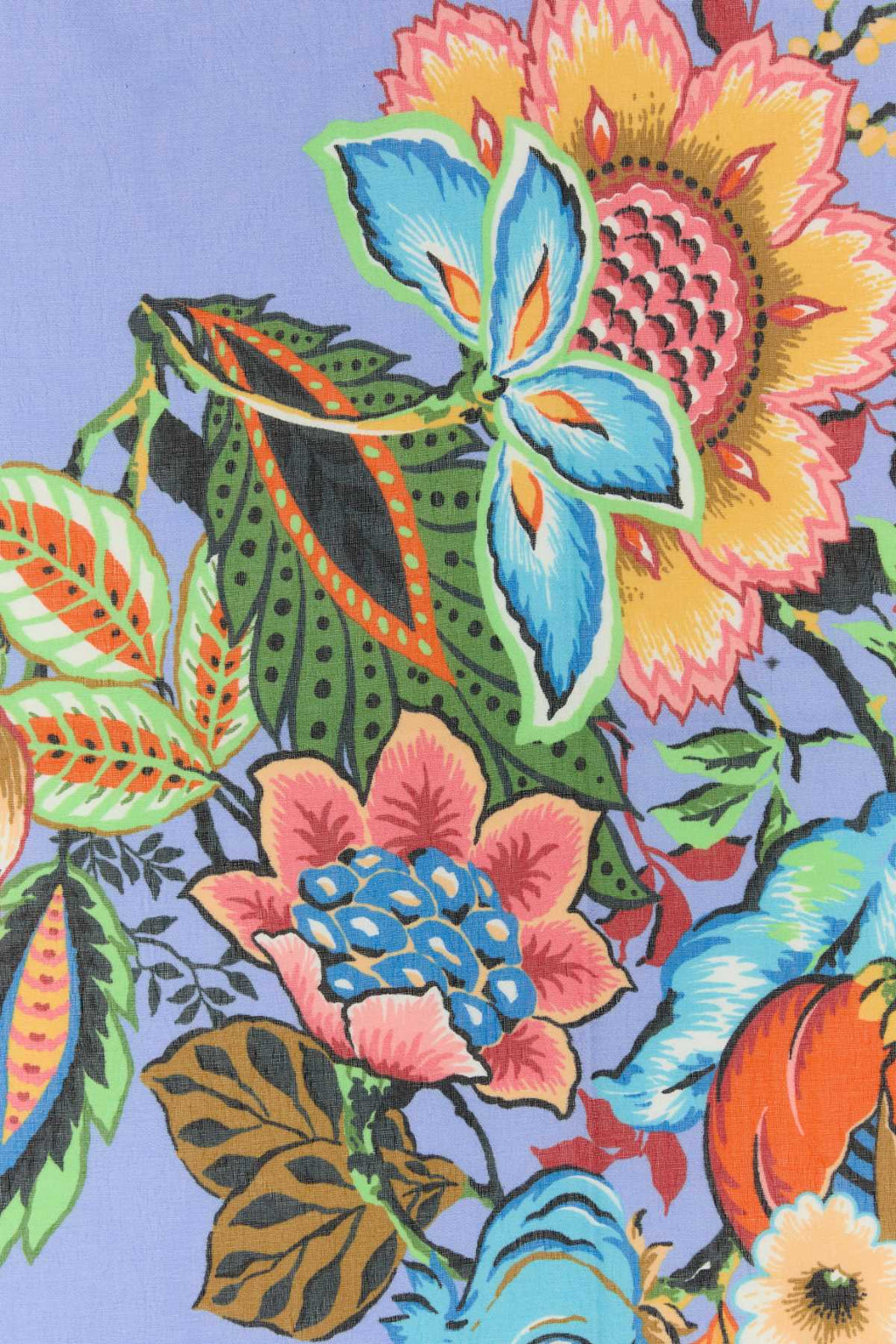 Etro Women Printed Cotton Blend Foulard