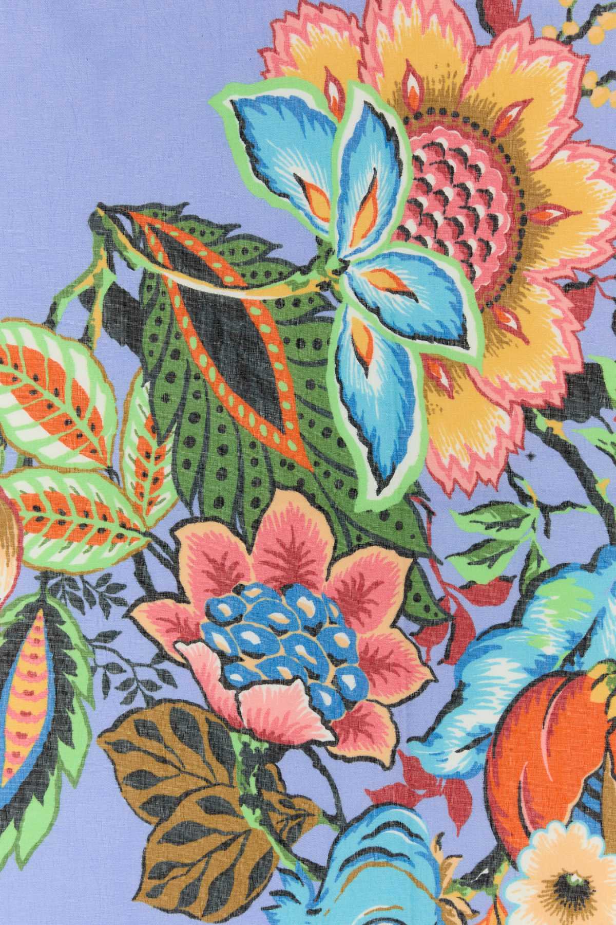 Etro Women Printed Cotton Blend Foulard