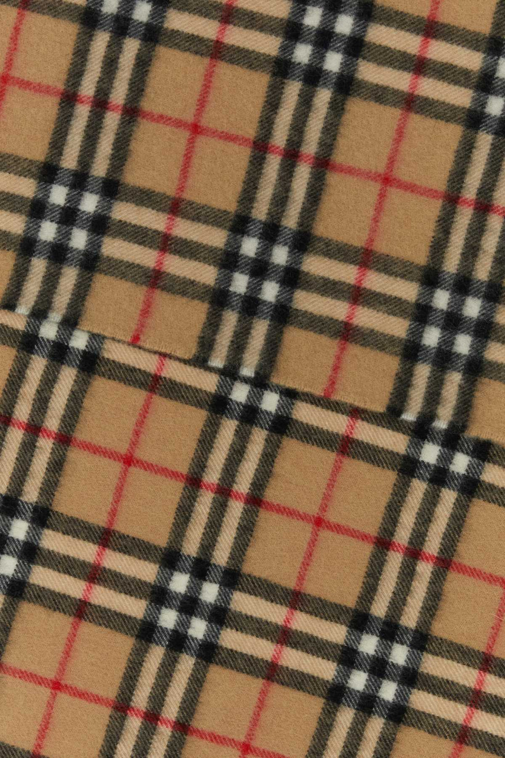 Burberry Unisex Embroidered Cashmere Scarf