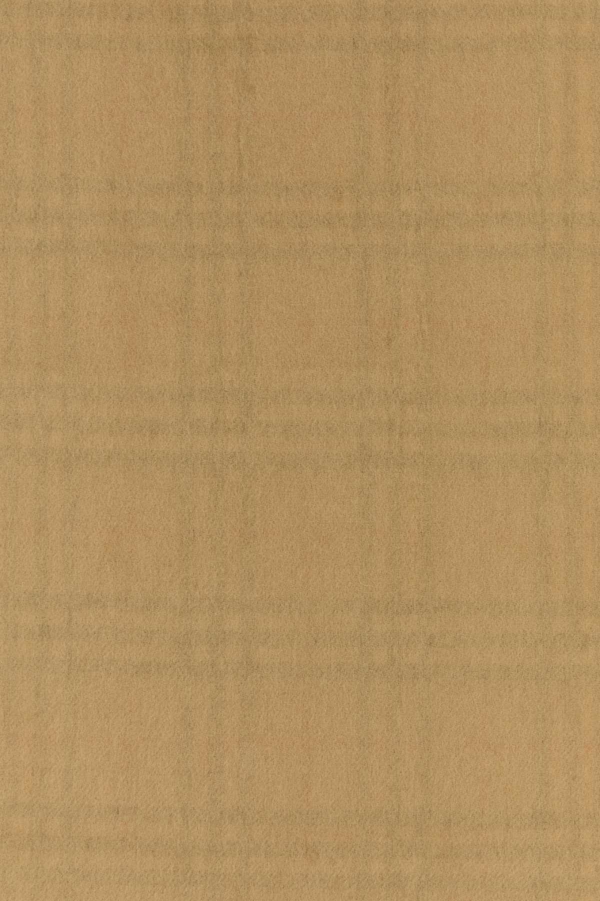 Burberry Unisex Beige Cashmere Reversible Scarf