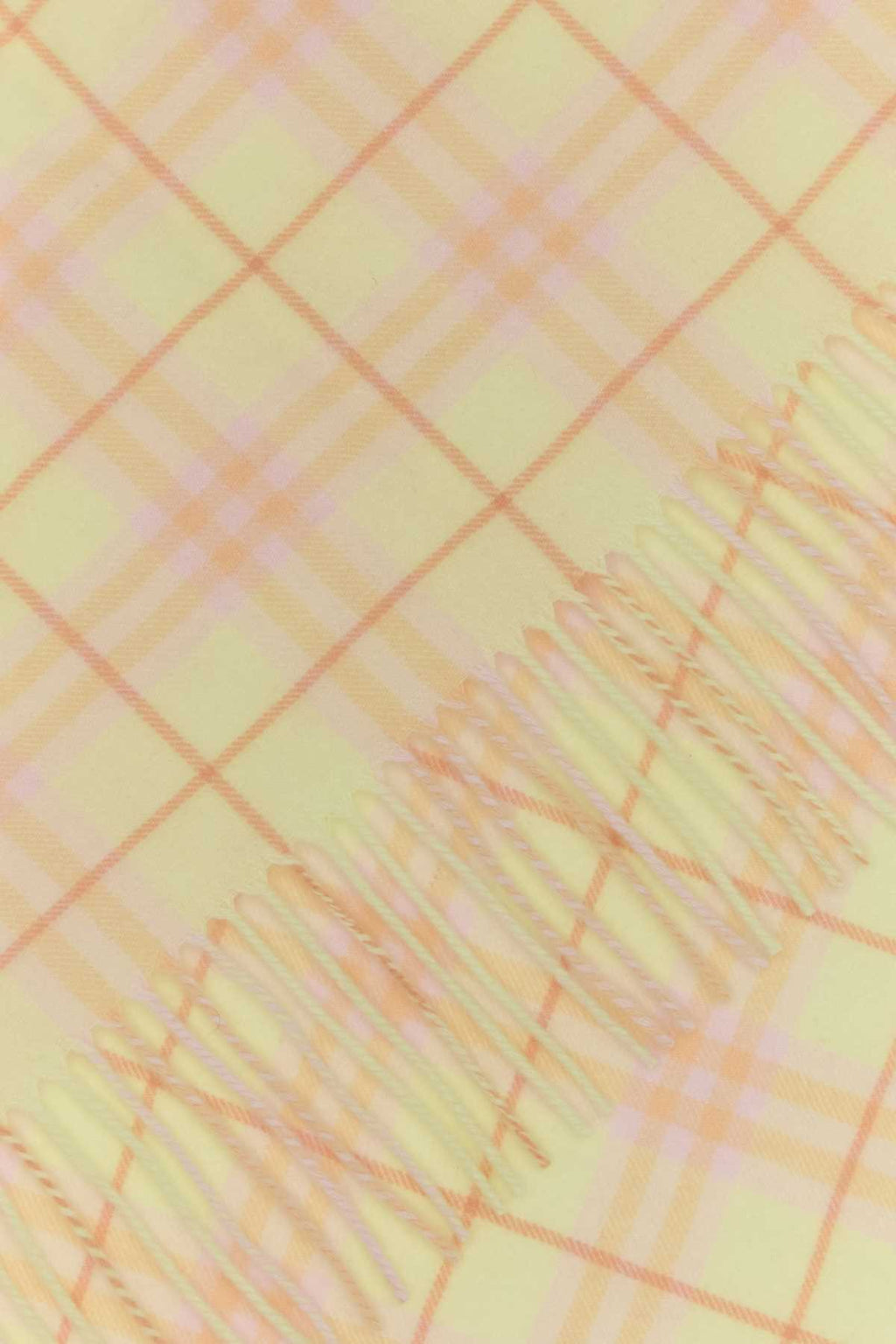 Burberry Women Embroidered Cashmere Scarf