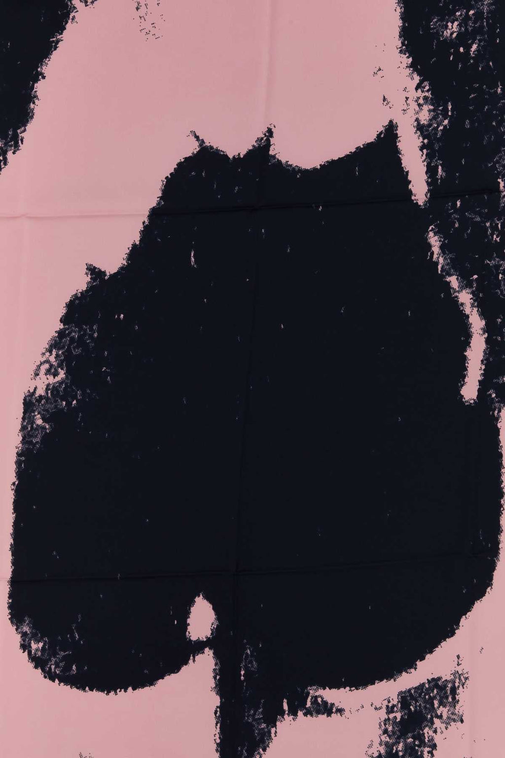 Alexander Mcqueen Women Printed Twill Foulard