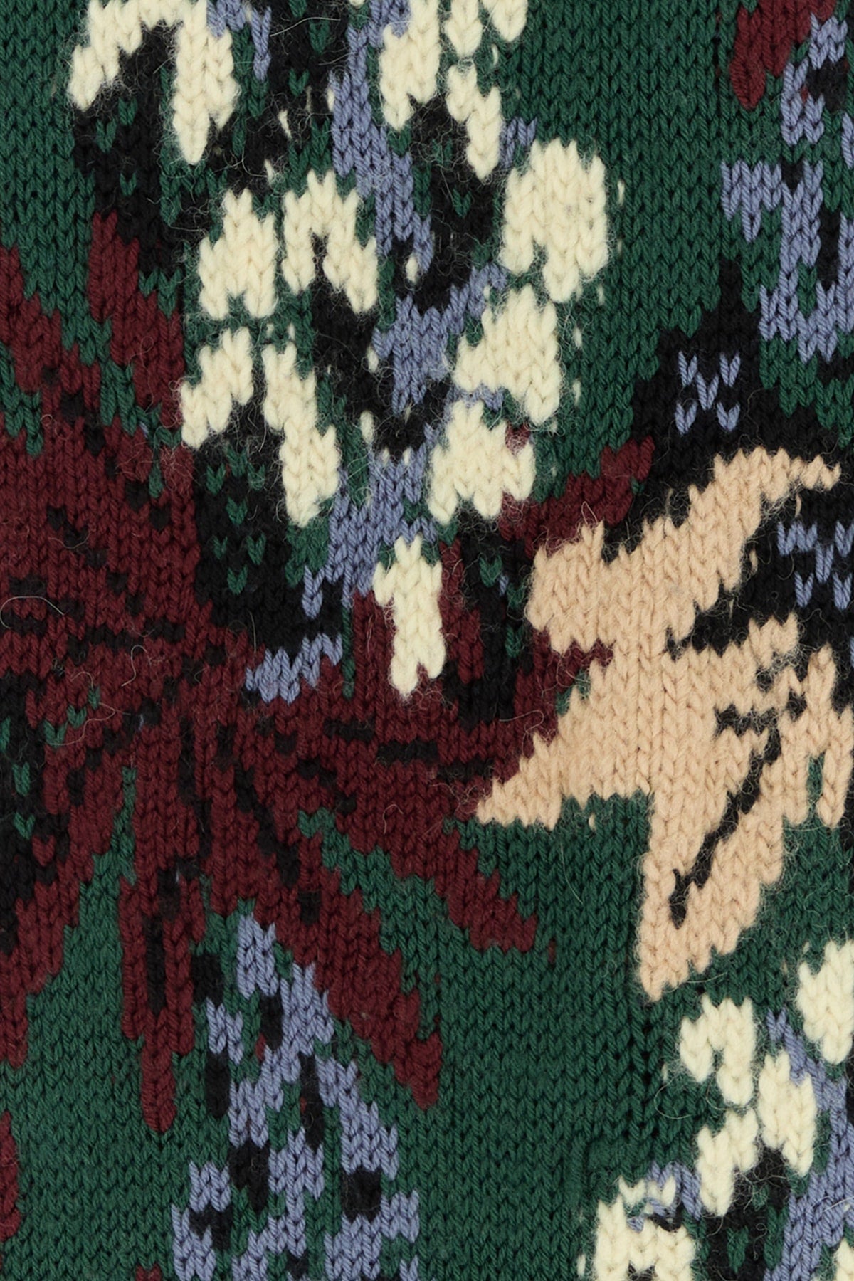 Etro Men Knitted Cardigan