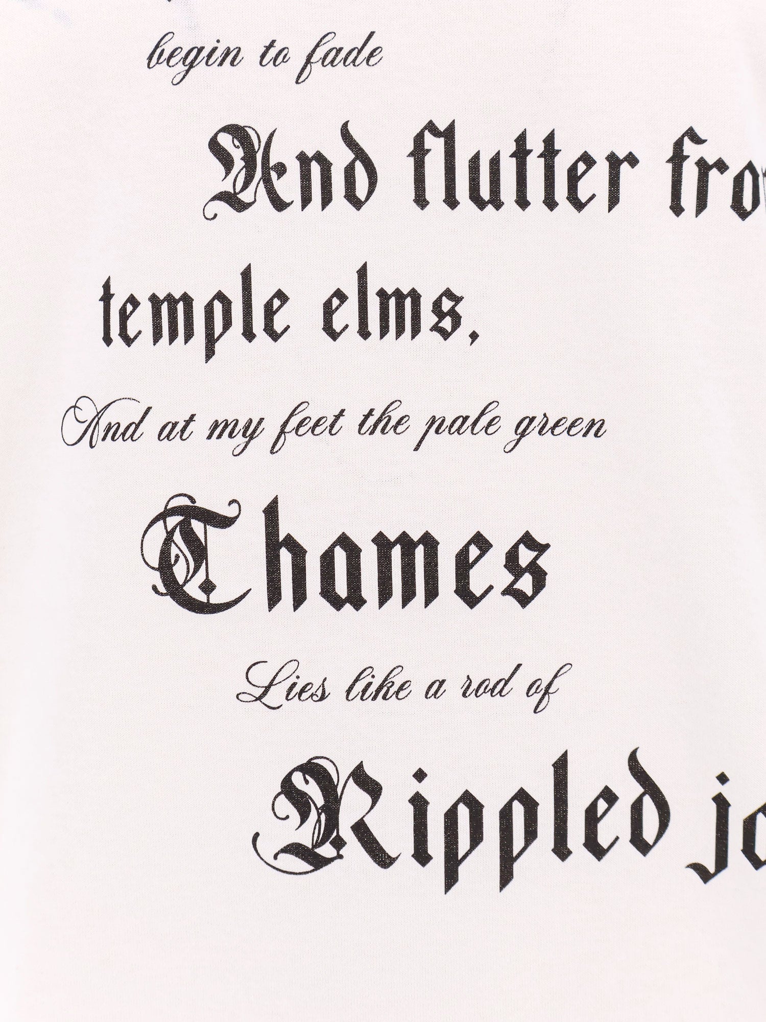 Alexander Mcqueen Men Organic Cotton T-Shirt