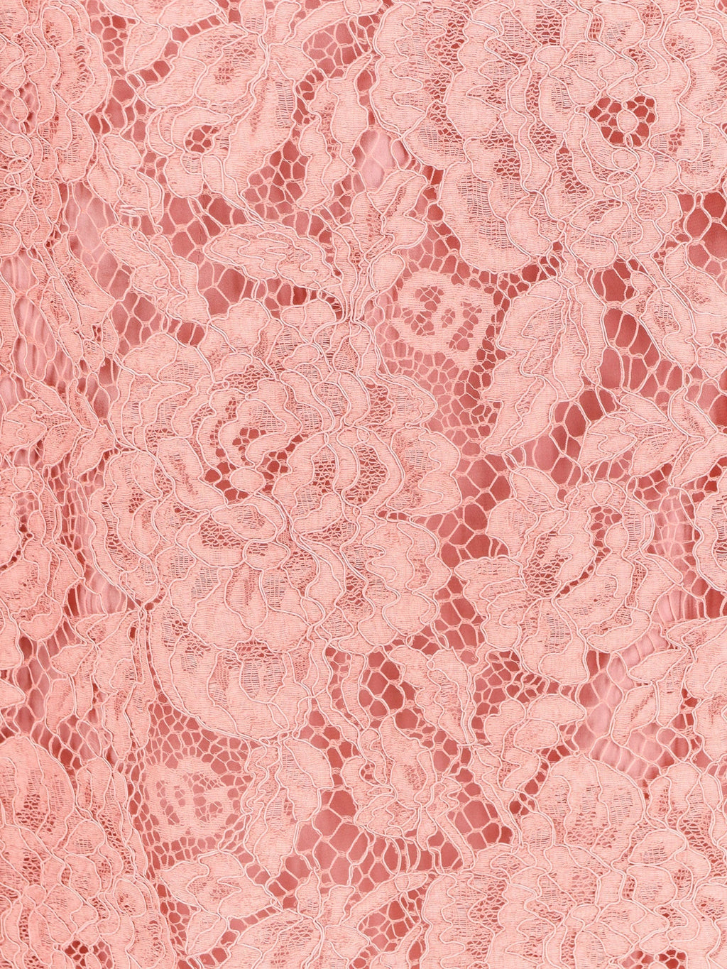 Dolce & Gabbana Women A Line Dg Floral Lace Dress