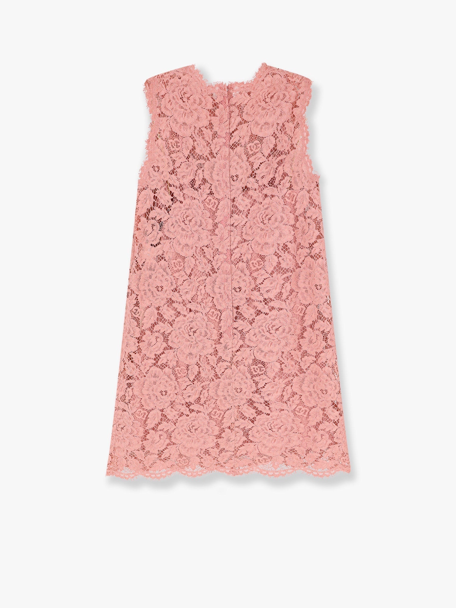 Dolce & Gabbana Women A Line Dg Floral Lace Dress