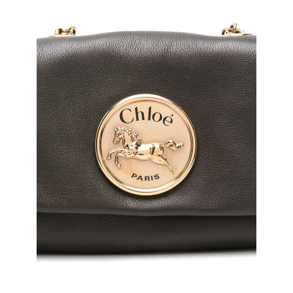 Chloé Brown Satchels & Cross Body Bags Women