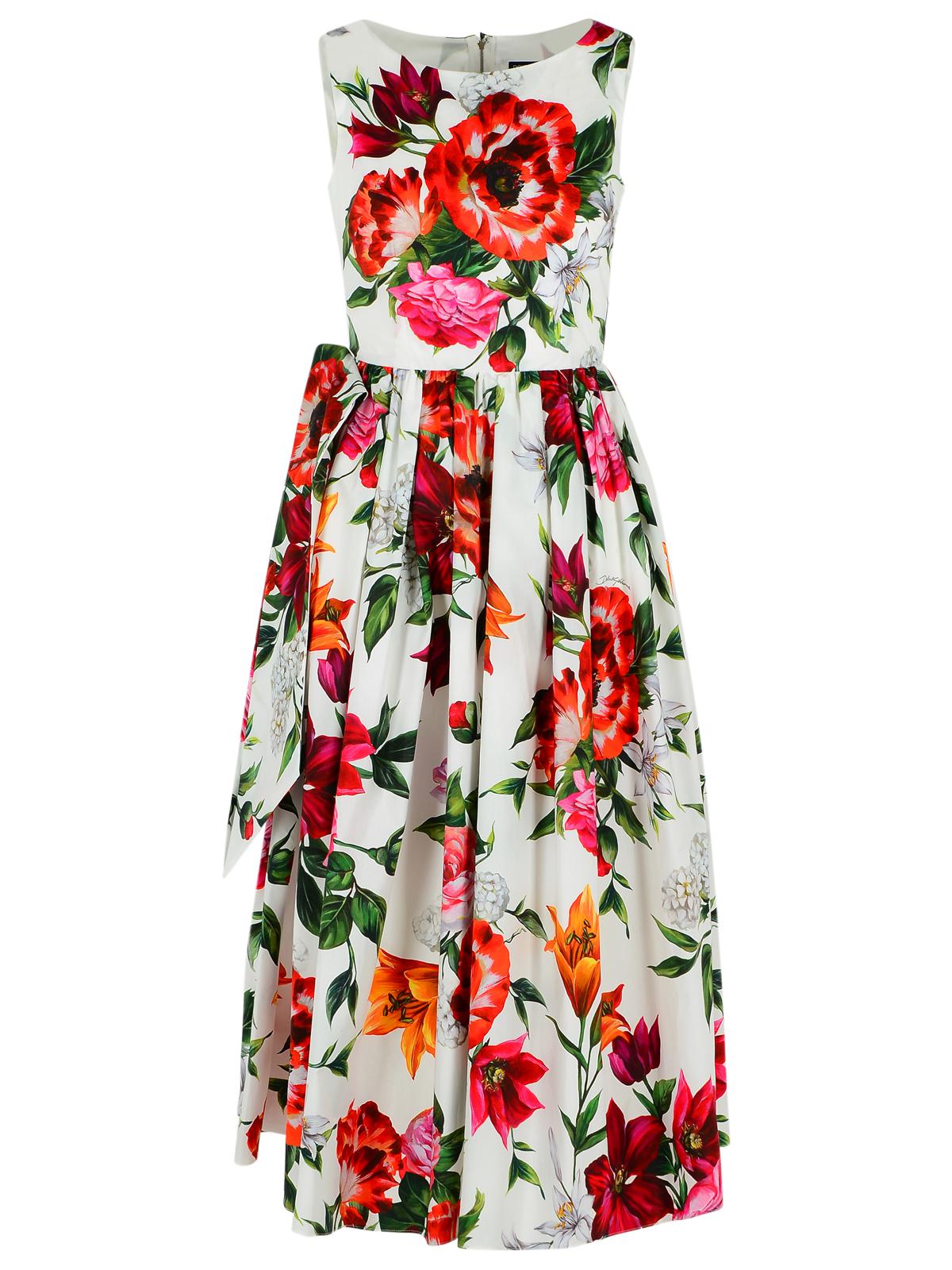 Dolce & Gabbana Sleeveless Dress In Cotton Poplin Flower Print Women