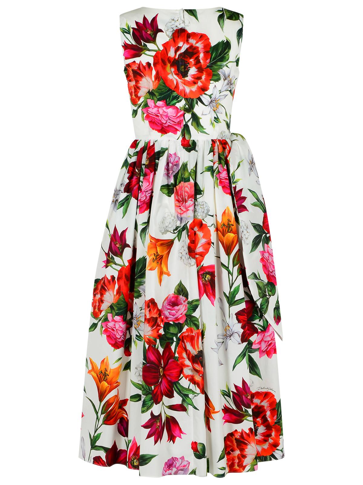 Dolce & Gabbana Sleeveless Dress In Cotton Poplin Flower Print Women