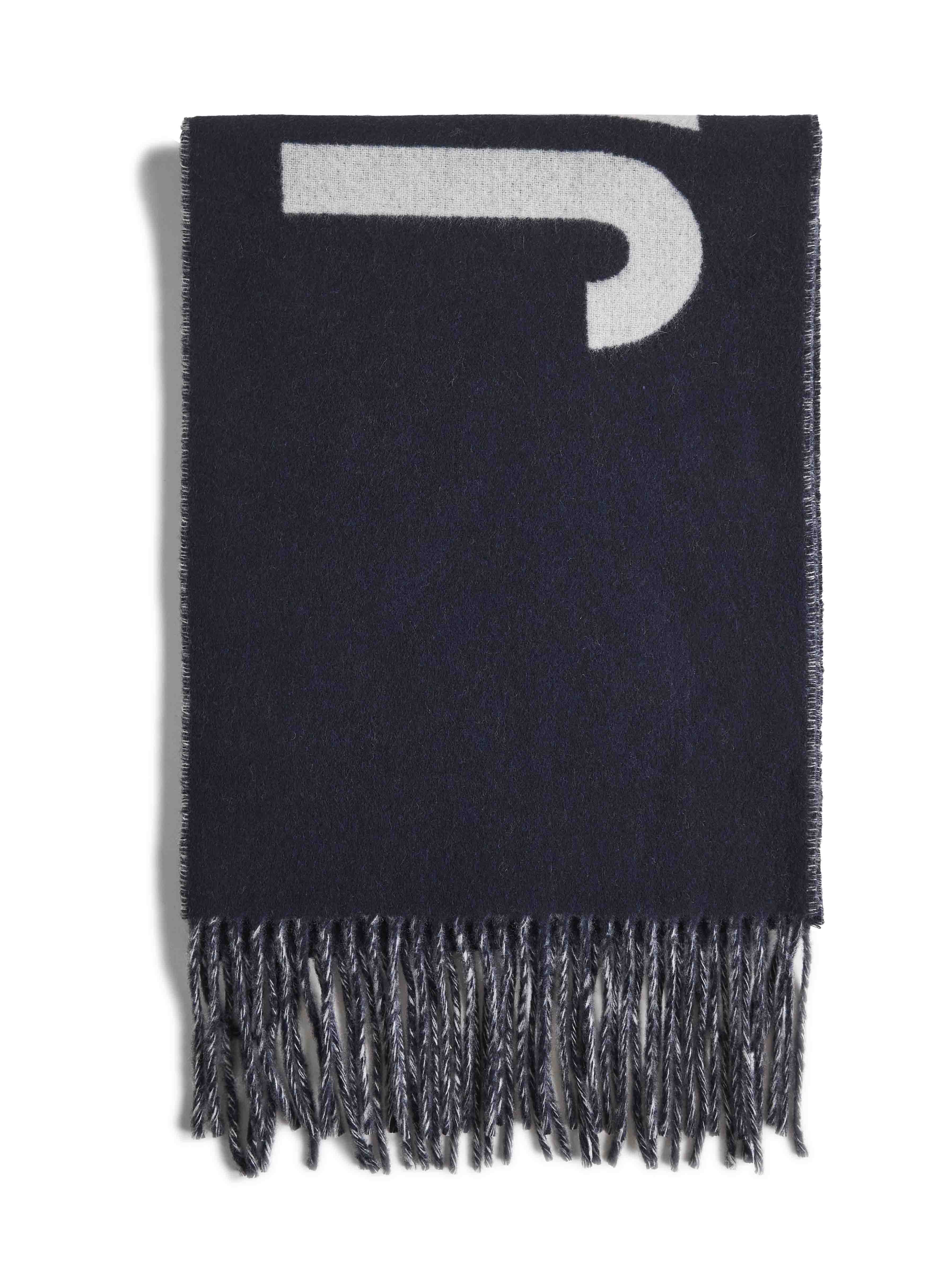 Jacquemus Men Blue The Jacquemus Scarf