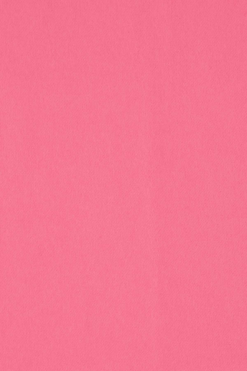 Alexander Mcqueen Women Pink Cashmere Blend Scarf - EZE Fashion®