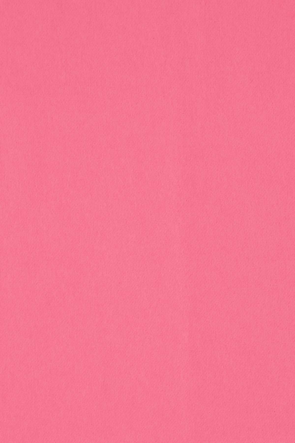 Alexander Mcqueen Women Pink Cashmere Blend Scarf - EZE Fashion®