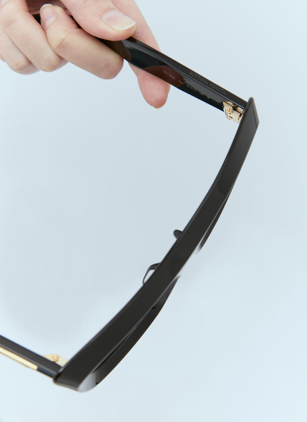 Bottega Veneta Women Classic Cat Eye Sunglasses