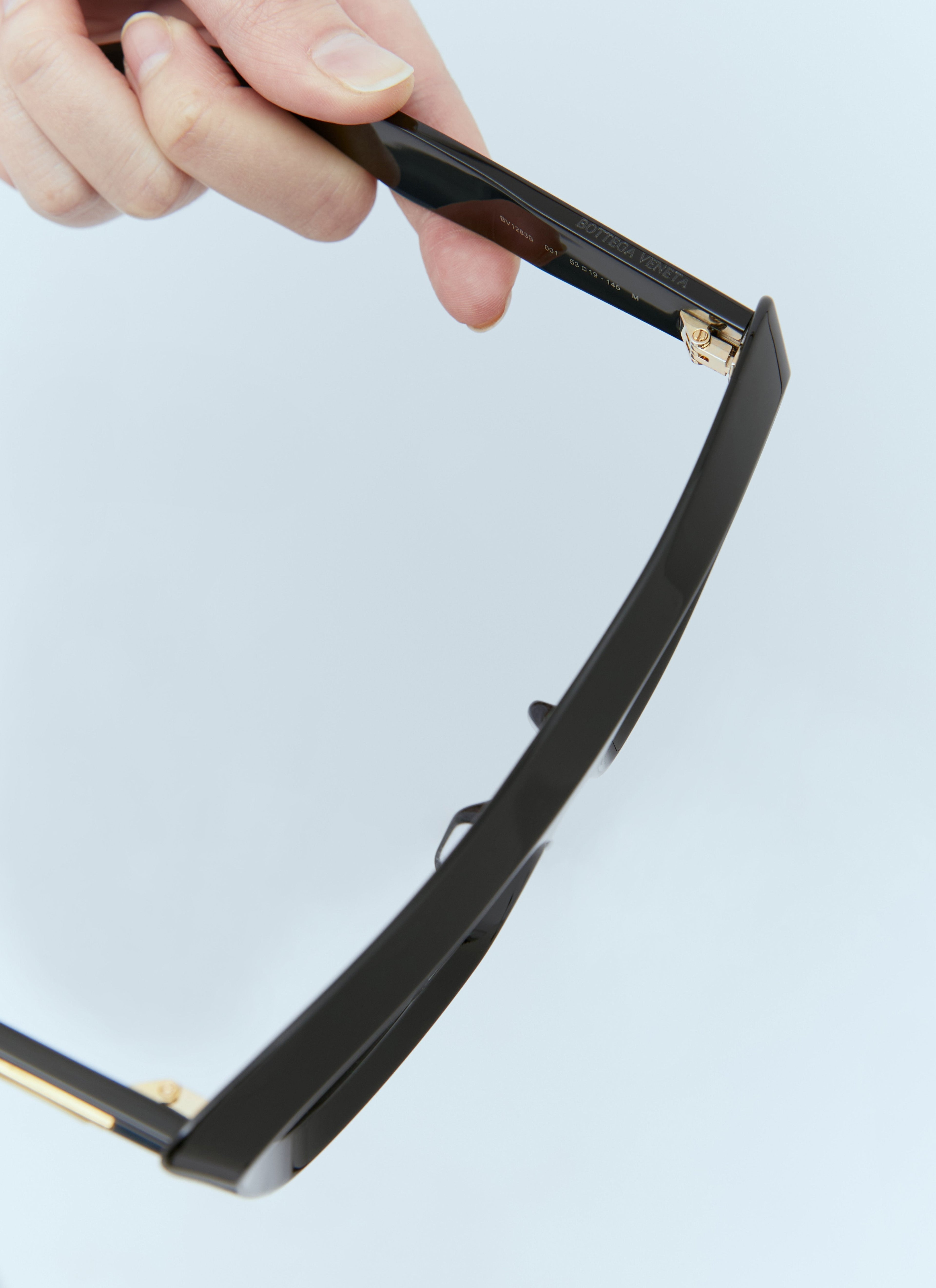 Bottega Veneta Women Classic Cat Eye Sunglasses