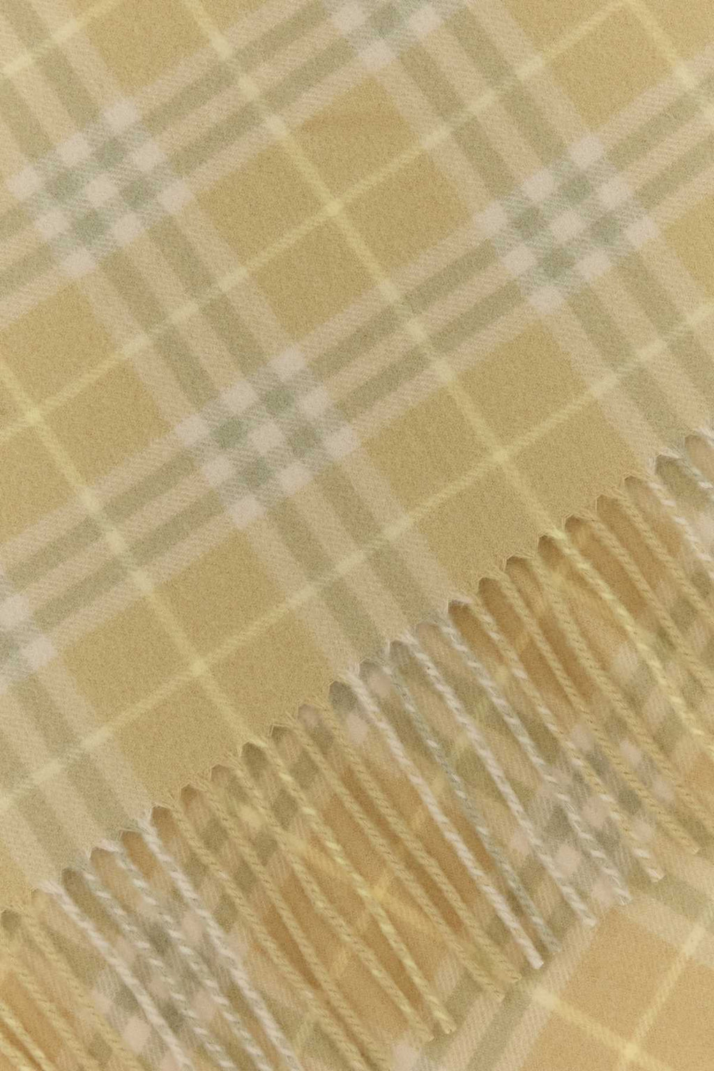 Burberry Unisex Embroidered Cashmere Scarf - EZE Fashion®