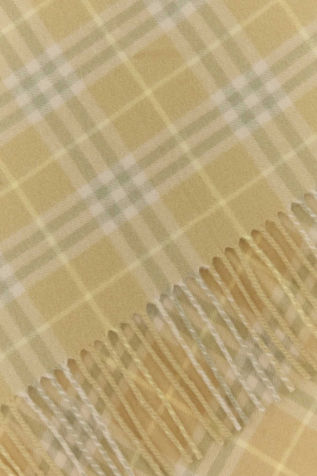 Burberry Unisex Embroidered Cashmere Scarf - EZE Fashion®