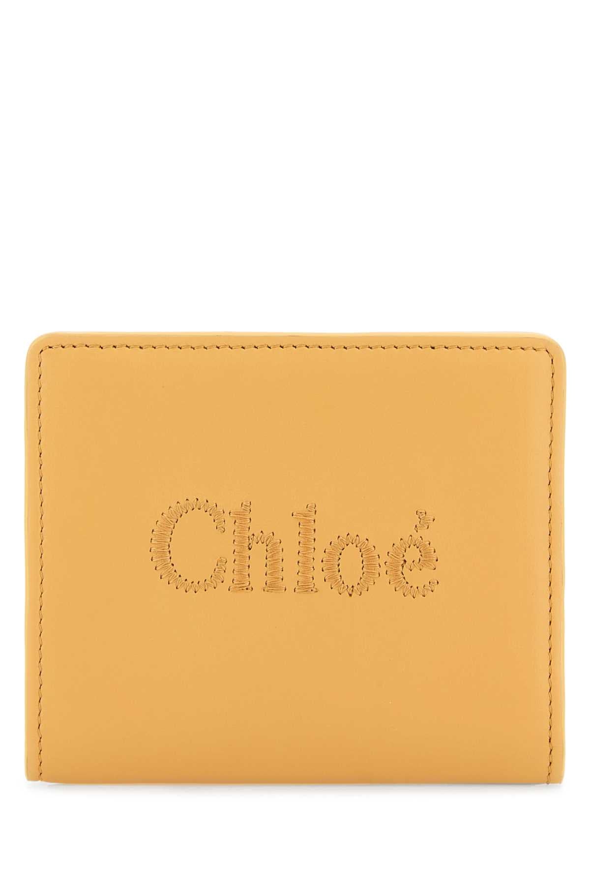 Chloe Women Peach Leather Wallet - EZE Fashion®