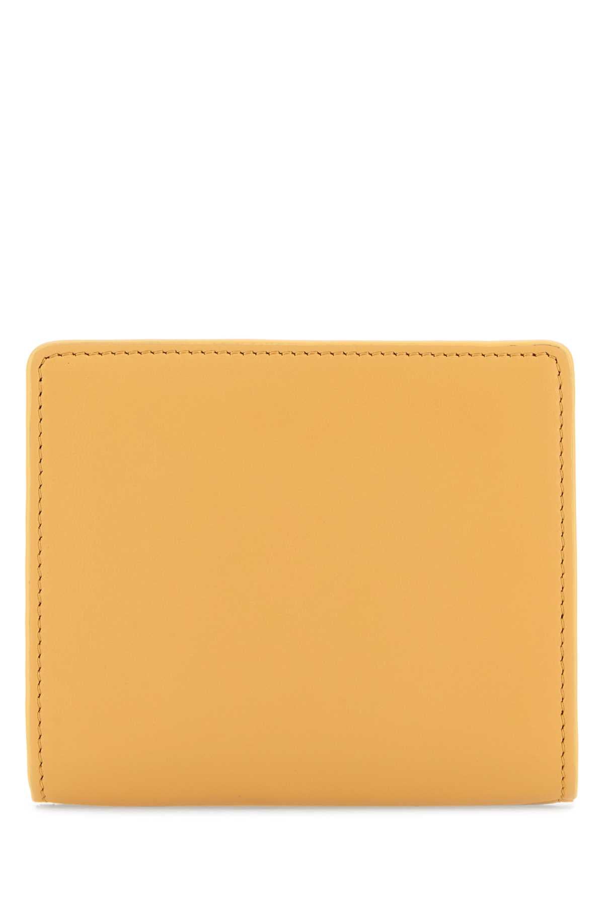 Chloe Women Peach Leather Wallet - EZE Fashion®